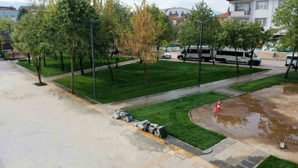 20241021aw312896 0.jpg