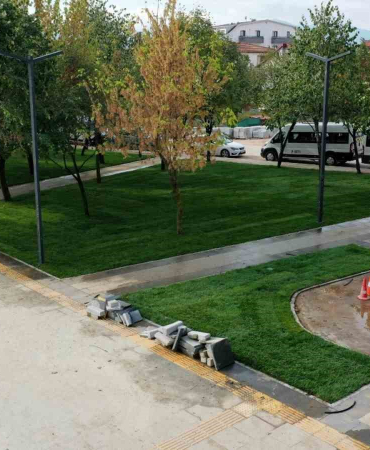 20241021aw312896 0.jpg