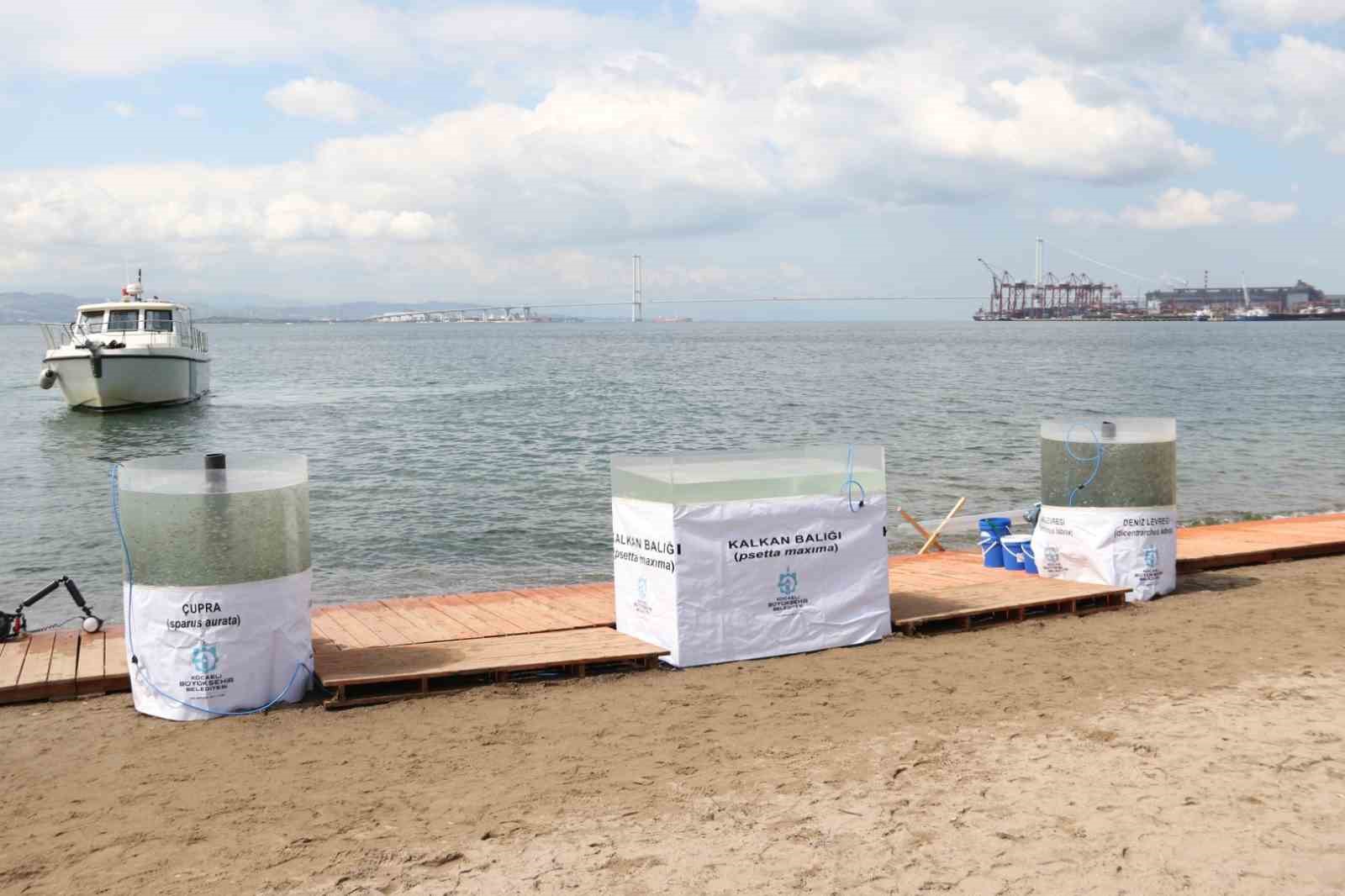 20241022aw313321 0.jpg