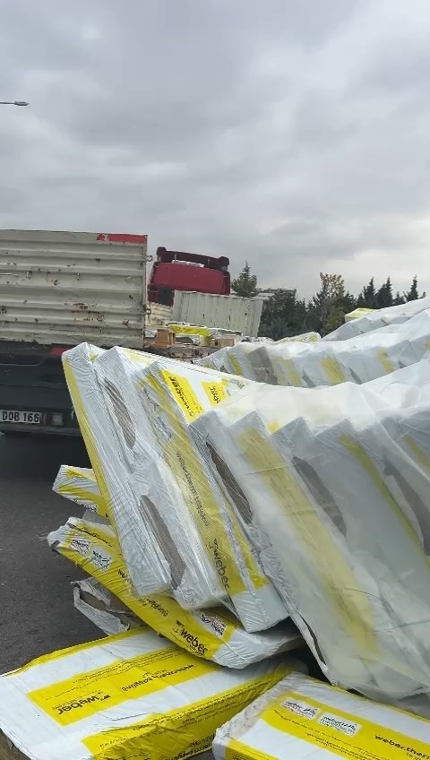 20241022aw313696 0.jpg