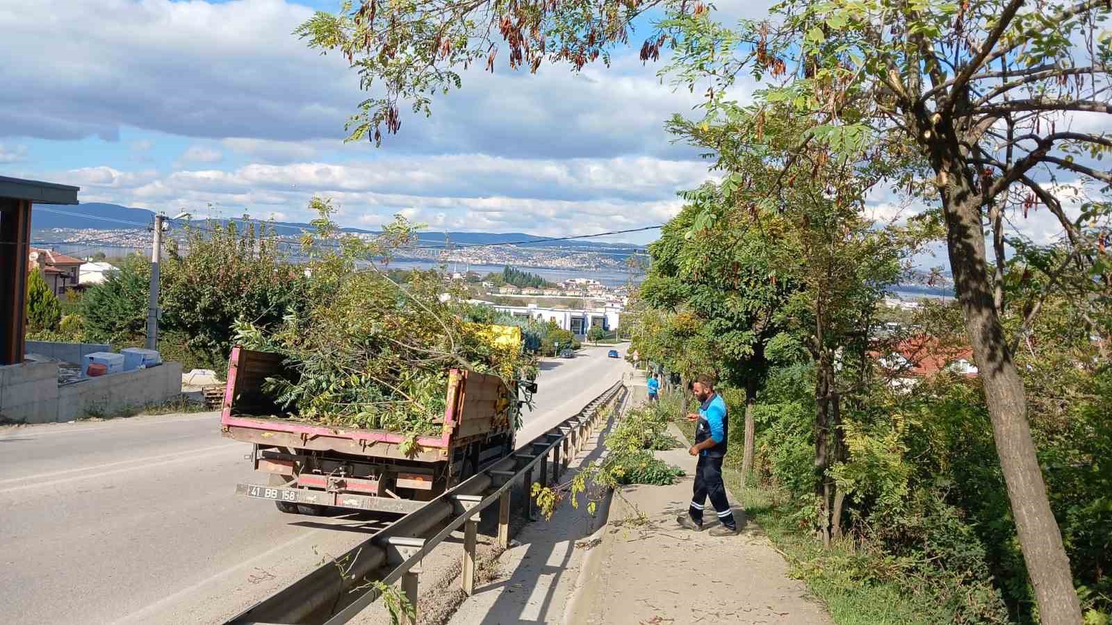 20241025aw315566 0.jpg