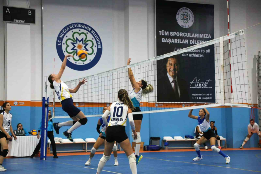 20241027aw317084 0.jpg