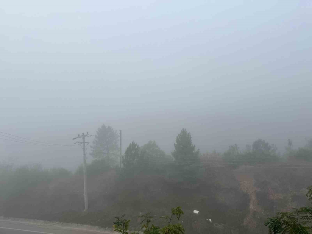 20241028aw317257 0.jpg