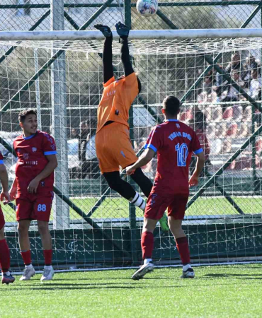 20241029aw317985 0.jpg