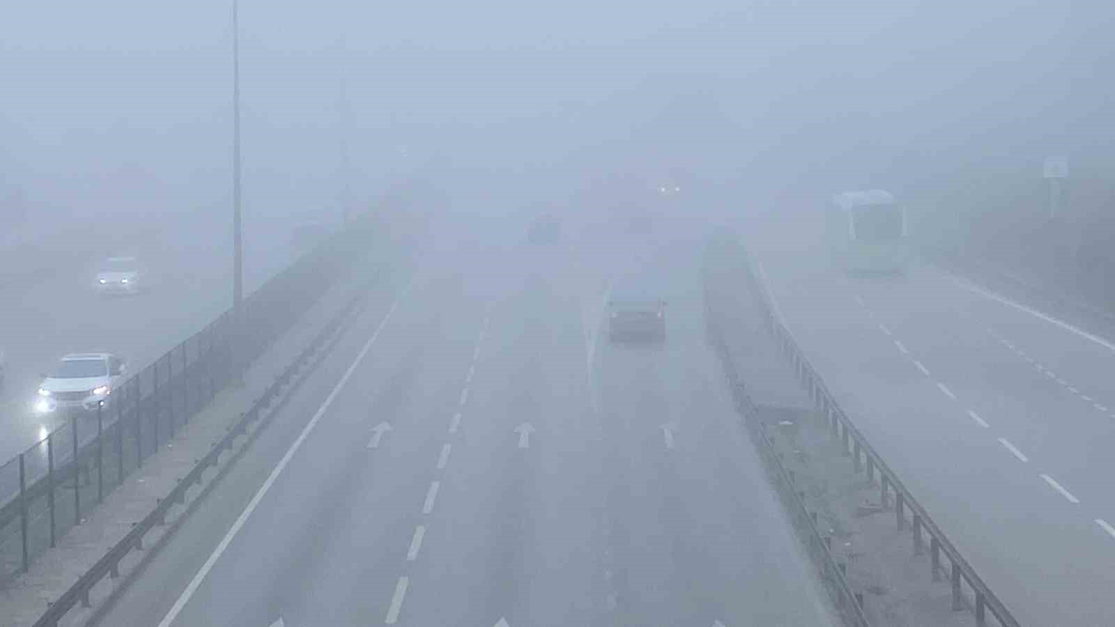 20241029aw318029 0.jpg