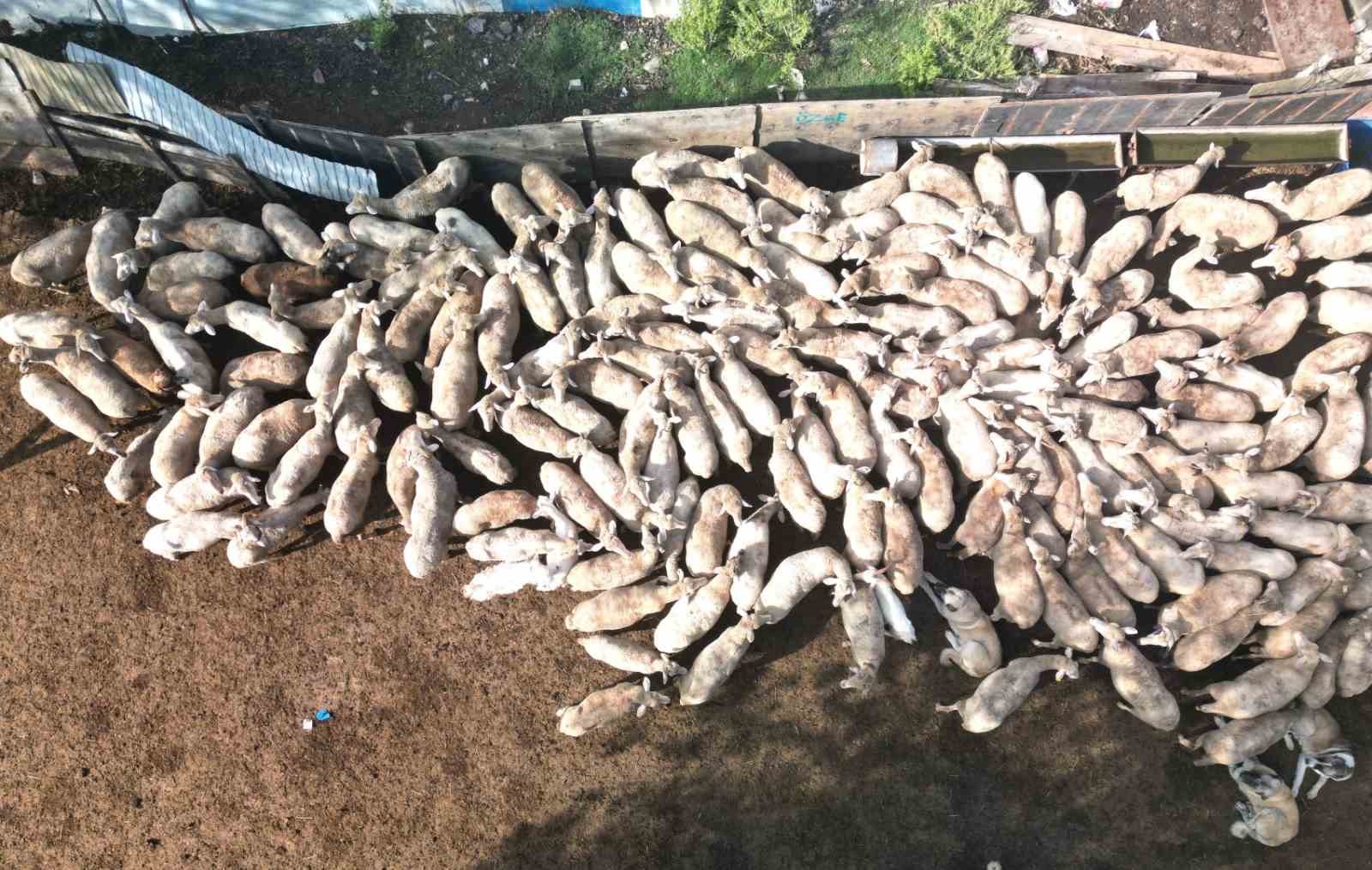 20241030aw318839 0.jpg