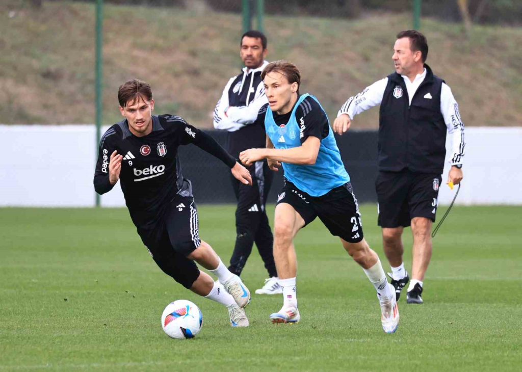 20241031aw319714 0.jpg