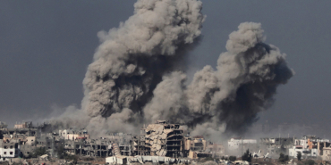 564.jpg
