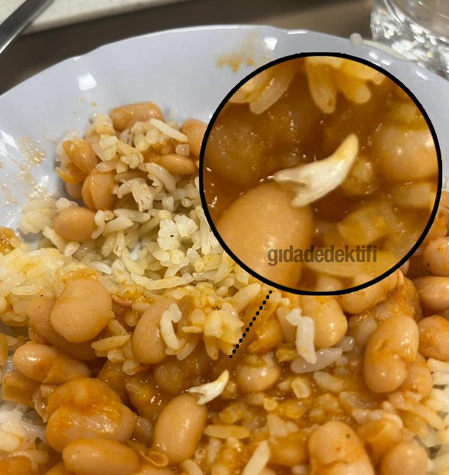 Kartepe KYK Yurdu'nda Skandal Öğrenci Pilavından Fare Dişi Çıktı!