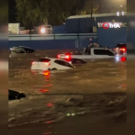 sequence 0200 00 00 00still008.jpg