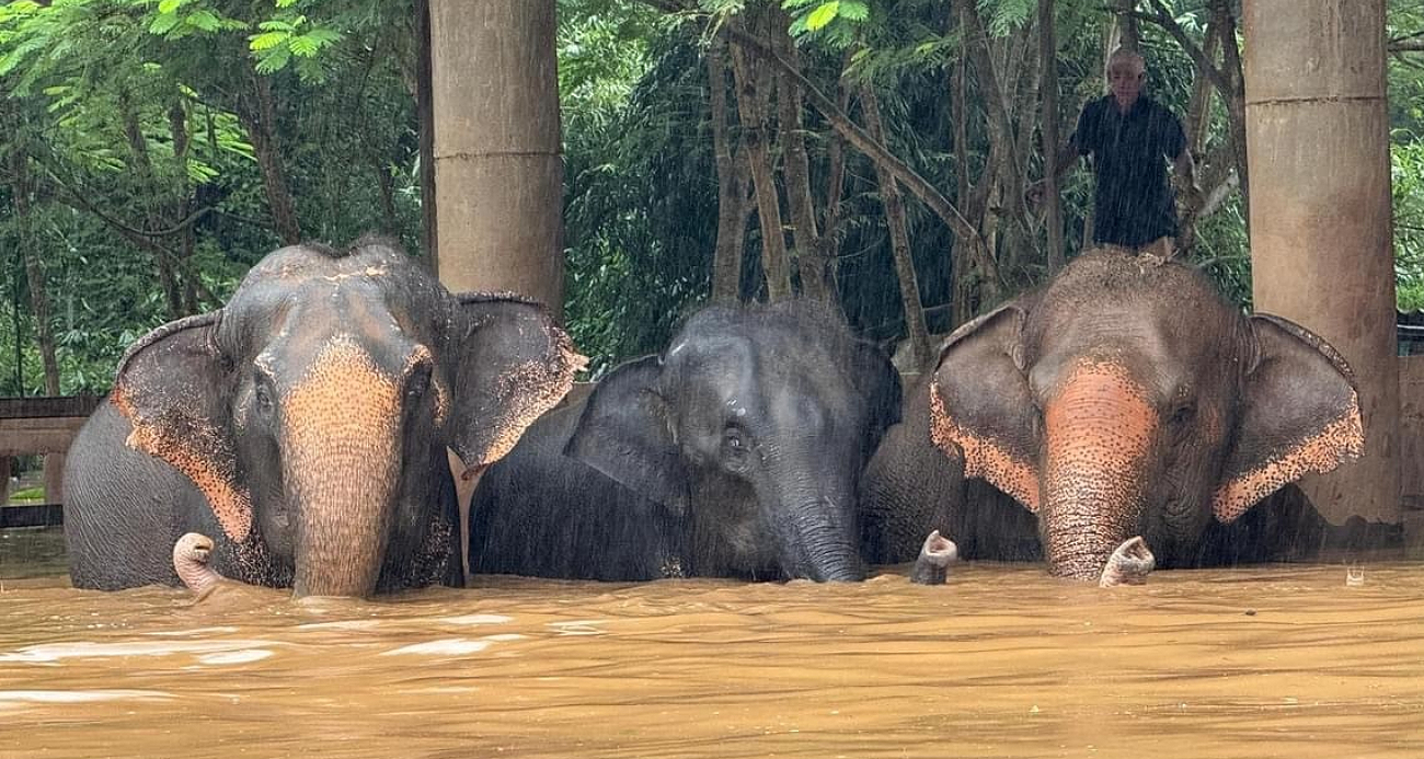 yeni proje 14 1728123035.jpg