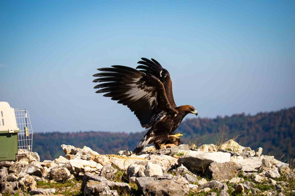 20241102aw320996 0.jpg