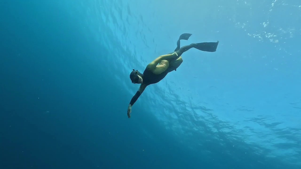 20241104aw321840 0.jpg