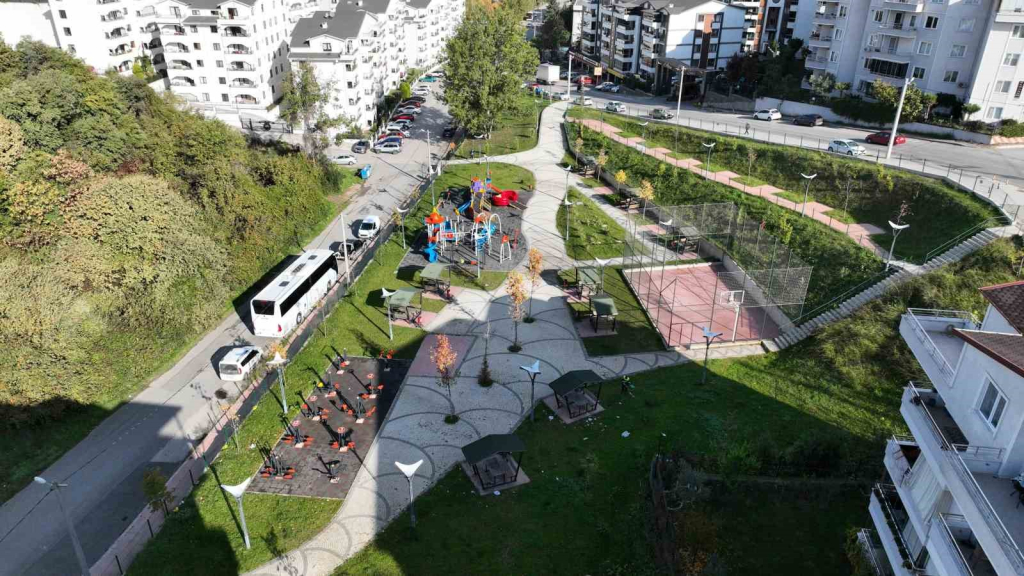 20241105aw323057 0.jpg