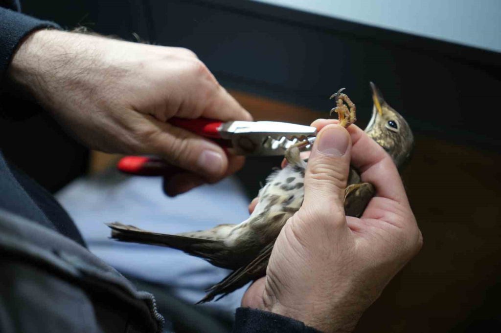 20241106aw323314 0.jpg