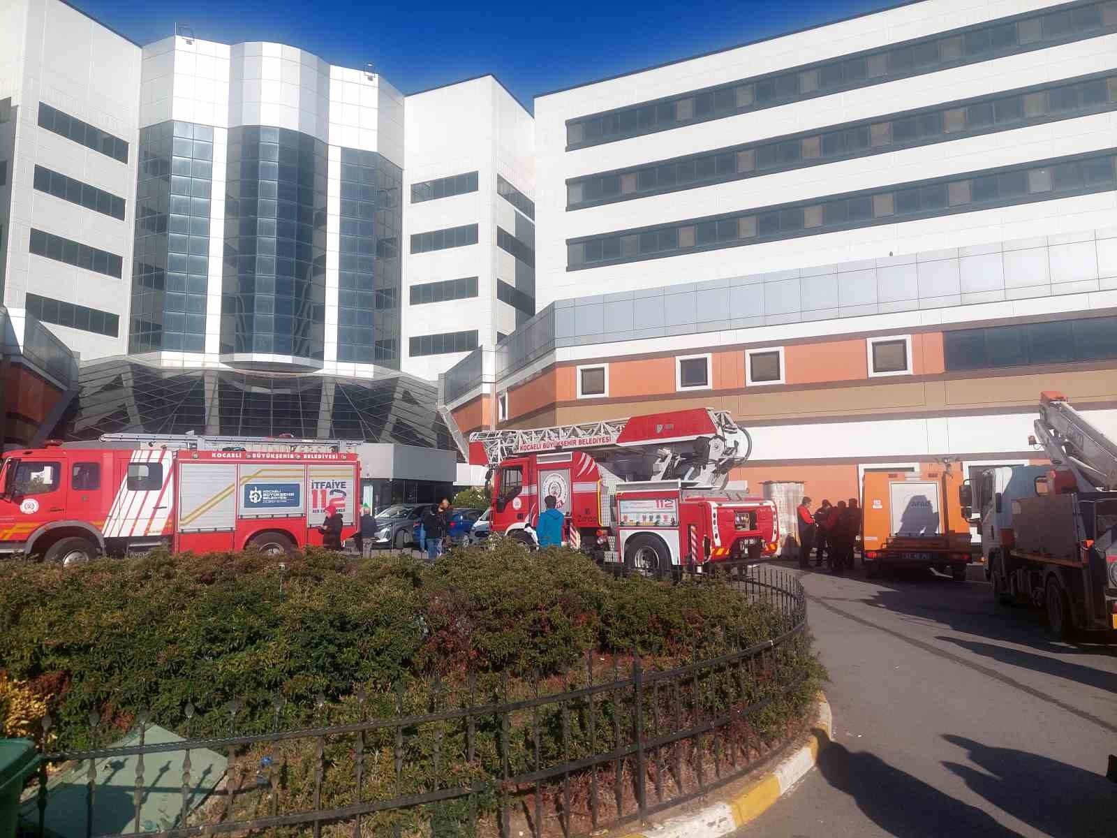 20241106aw323425 0.jpg