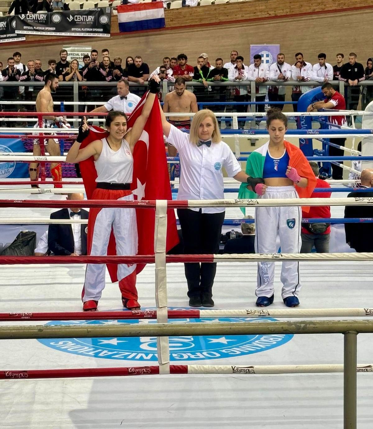 20241110aw325995 0.jpg