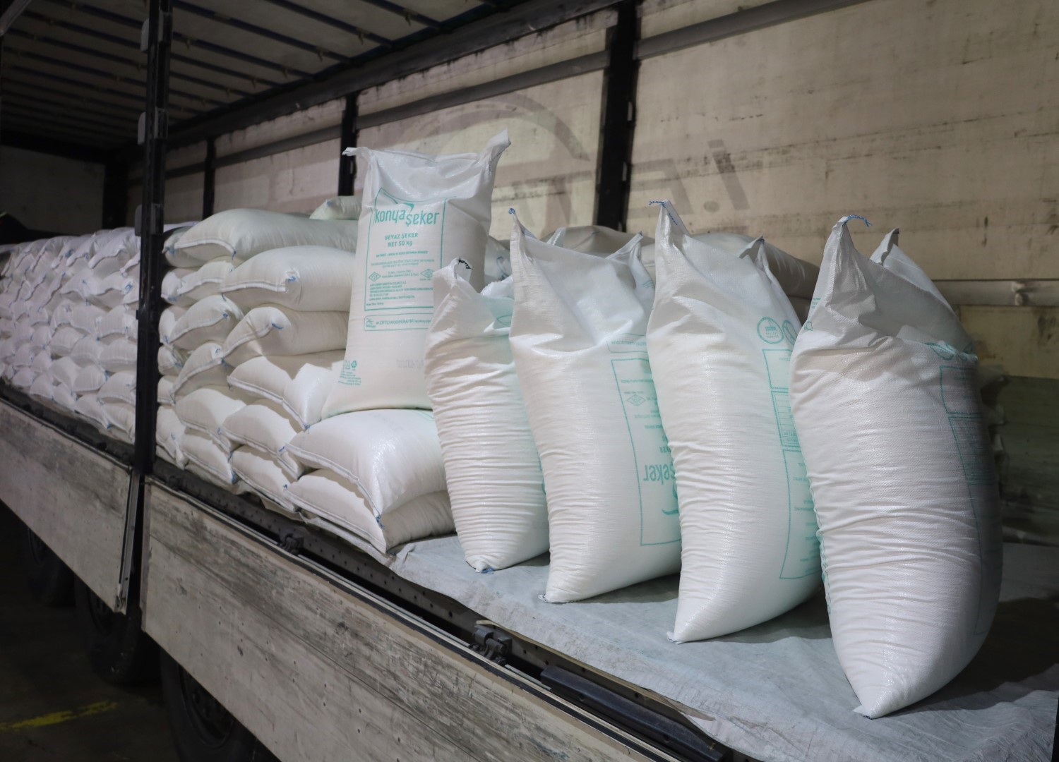 20241111aw326792 0.jpg