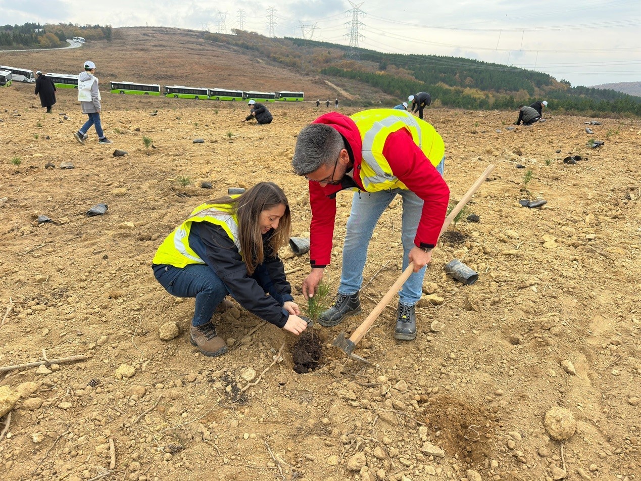 20241112aw327811 0.jpg