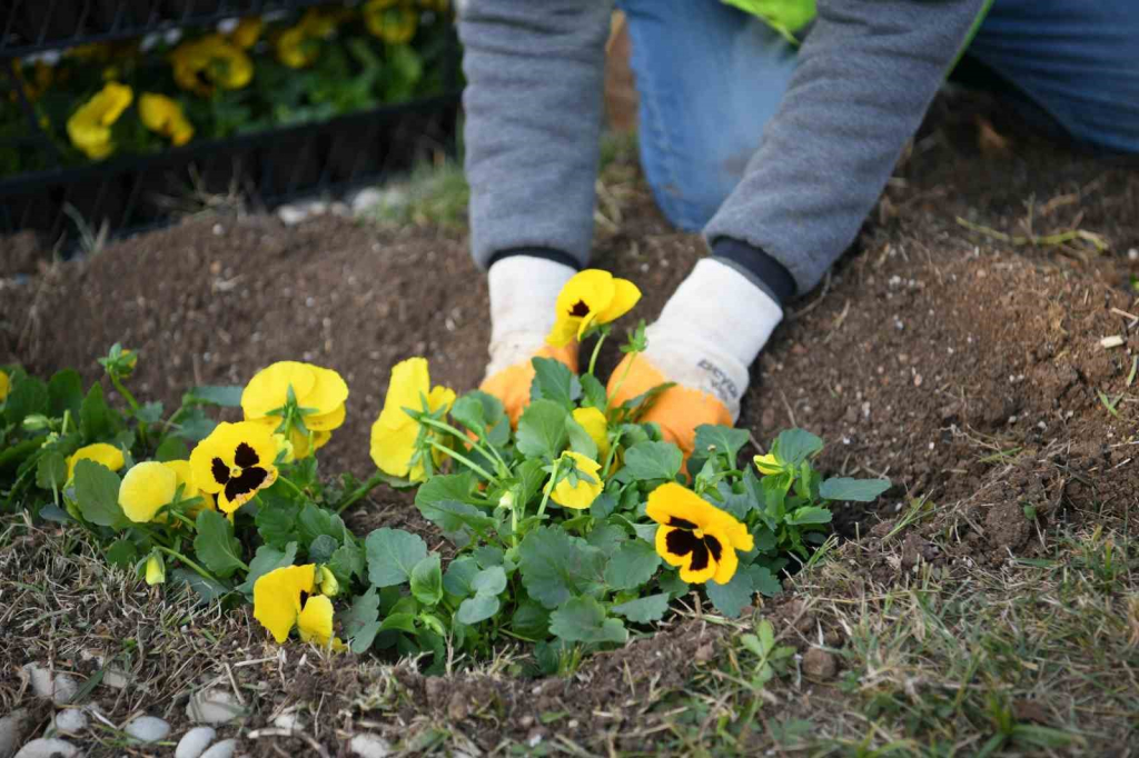 20241114aw328896 0.jpg