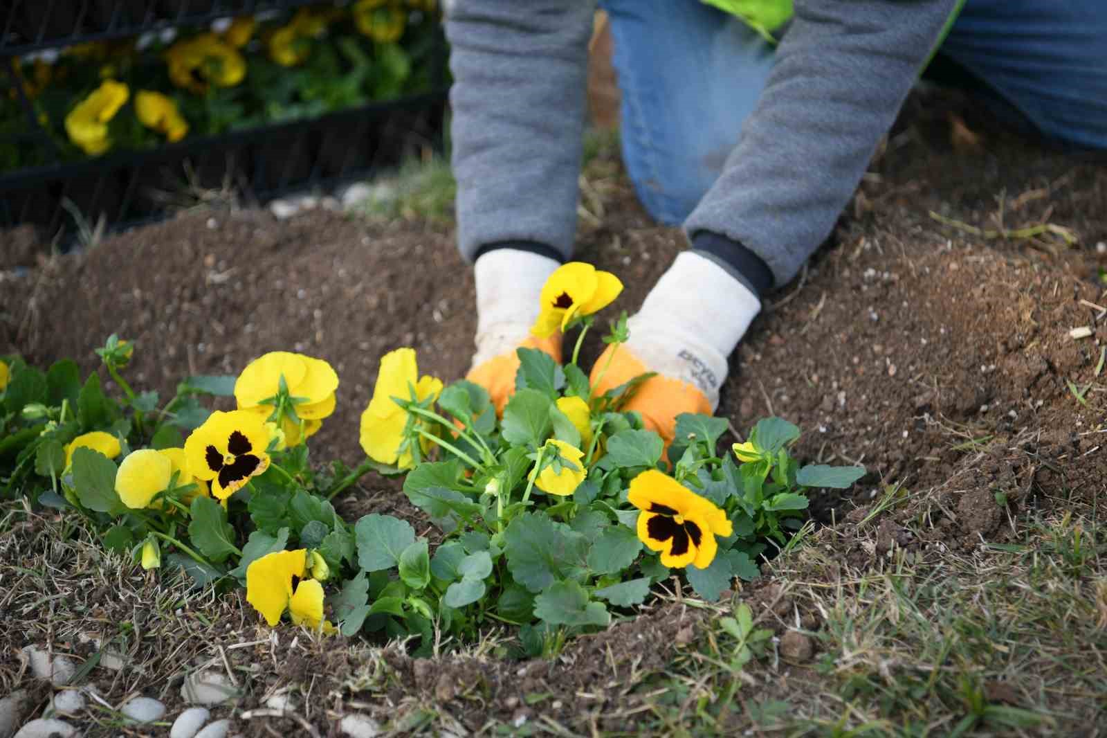 20241114aw328896 0.jpg