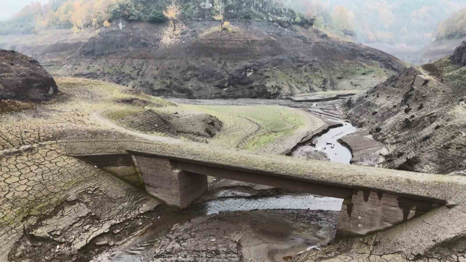 20241116aw330299 0.jpg