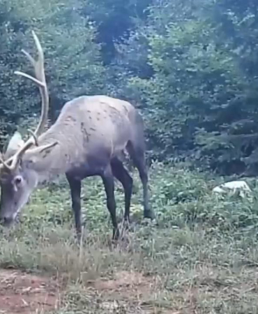 20241117aw330752 0.jpg