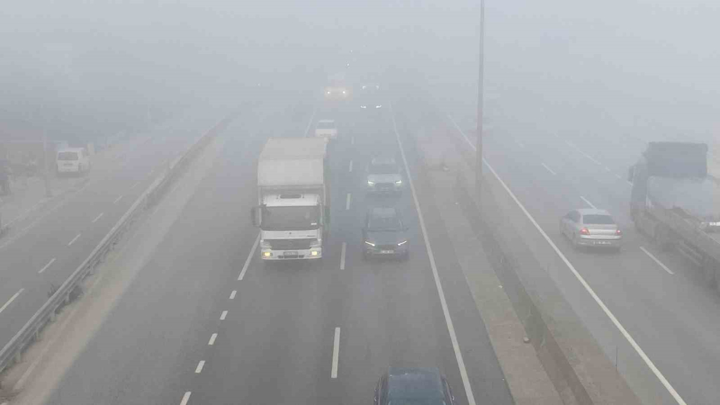 20241120aw332522 0.jpg