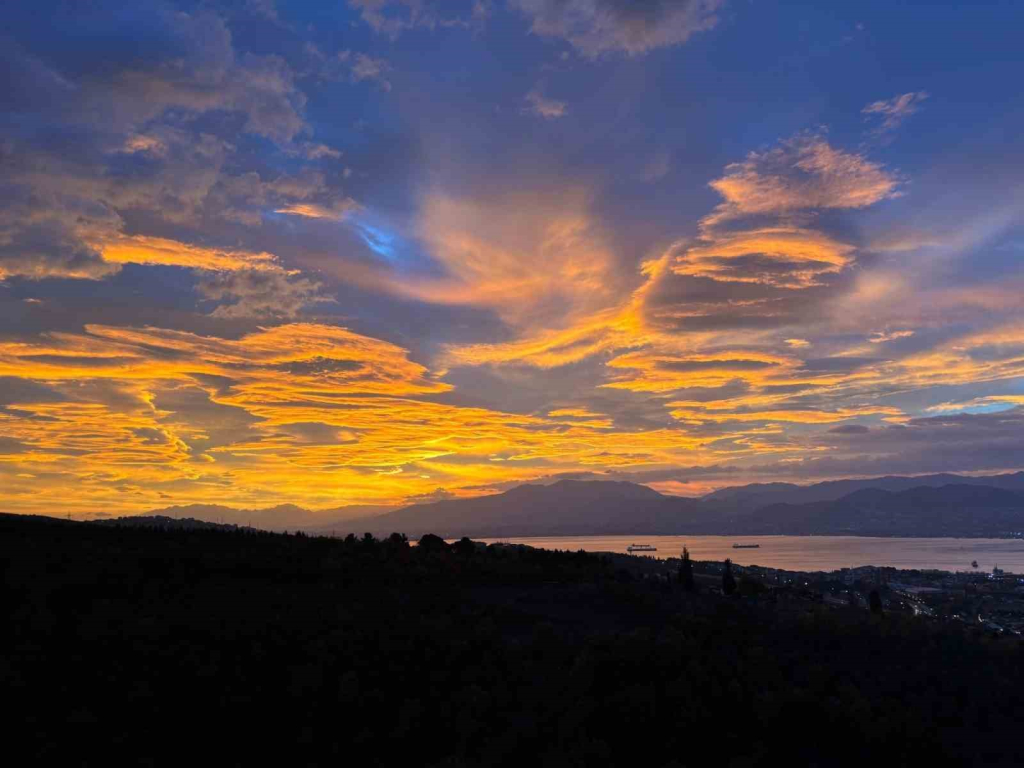 20241121aw333351 0.jpg