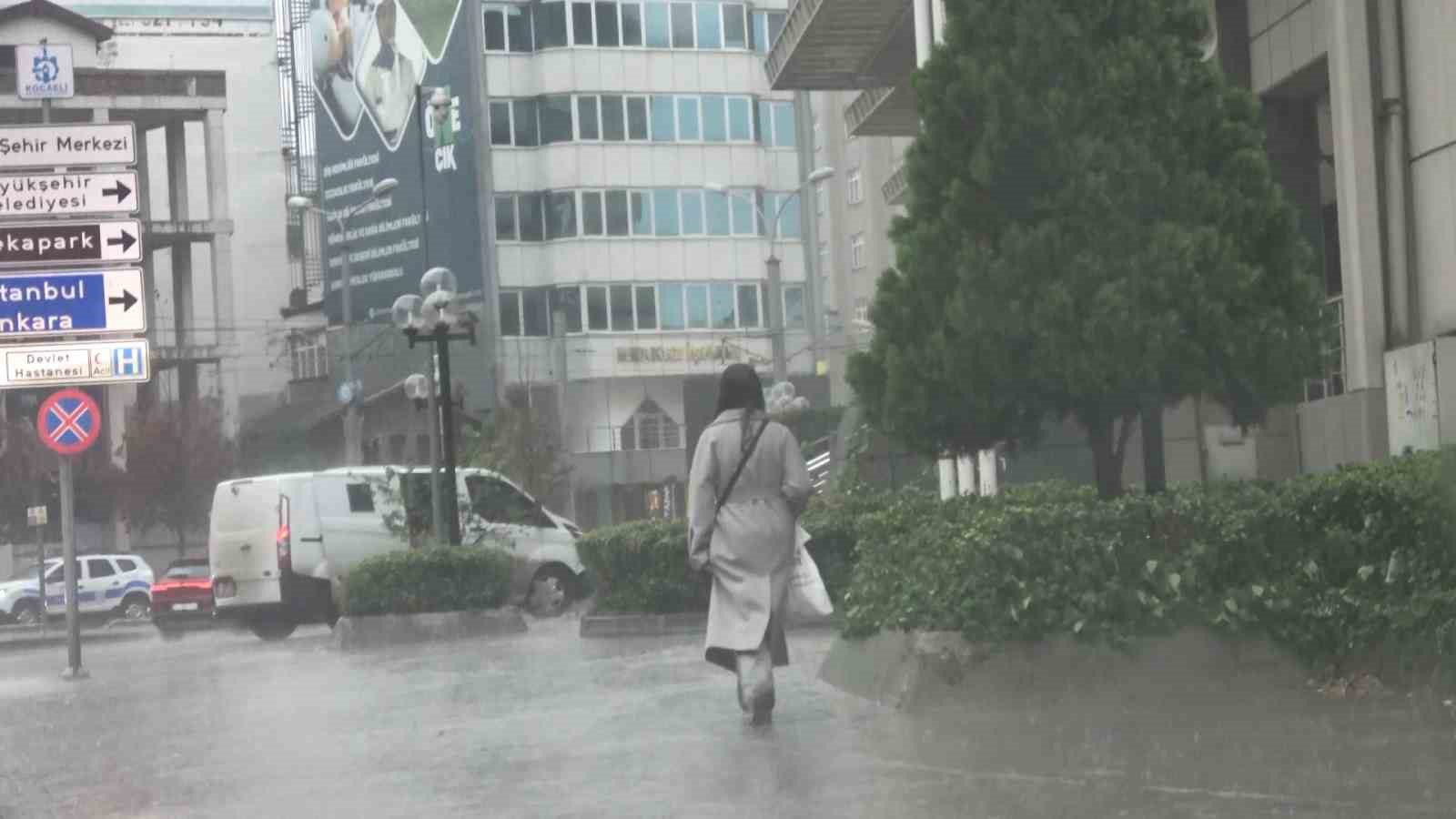 20241121aw333974 0.jpg