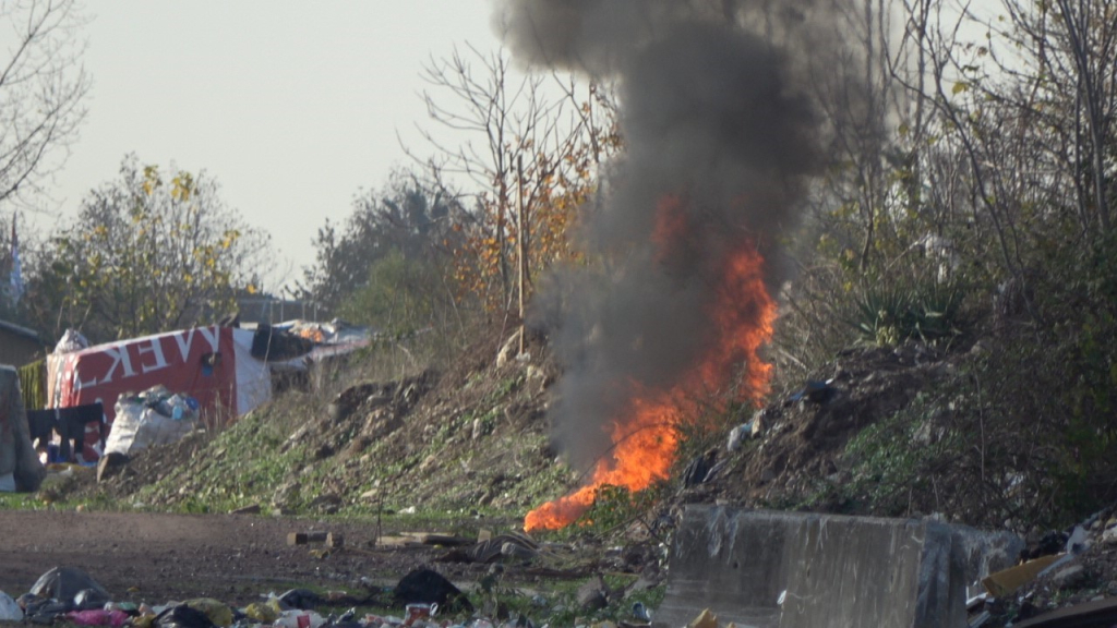 20241122aw334771 0.jpg