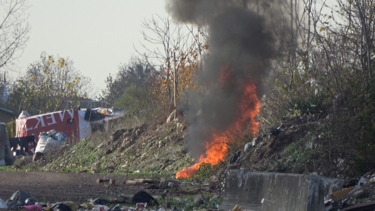 20241122aw334771 0.jpg