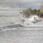 20241123aw335000 0.jpg