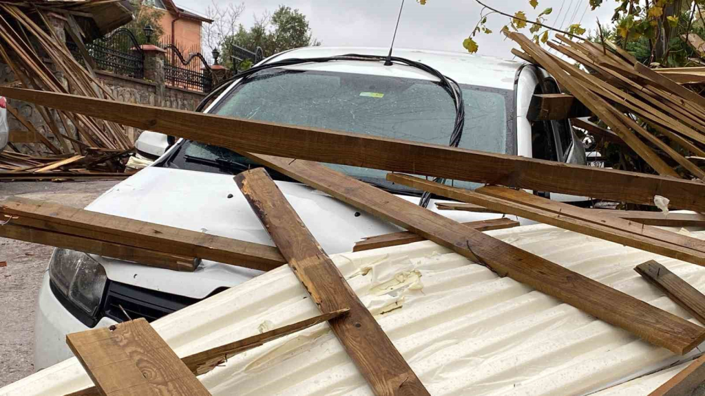 20241123aw335128 0.jpg