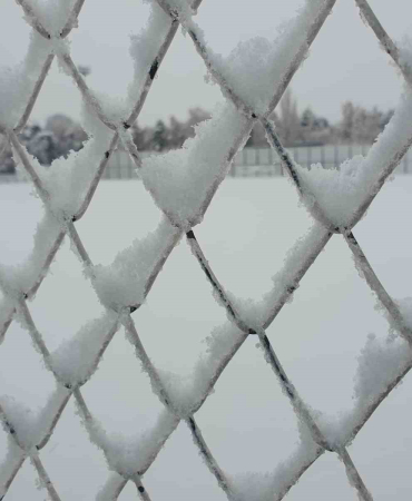 20241124aw335693 0.jpg