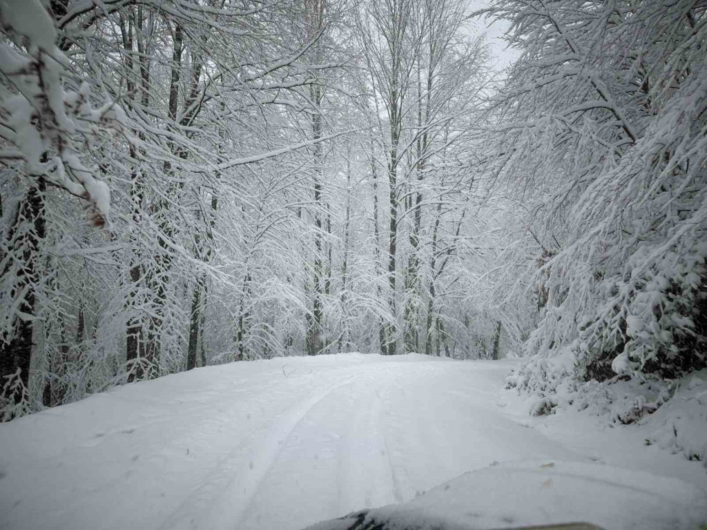 20241124aw335847 0.jpg