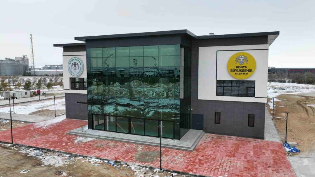 20241126aw337689 0.jpg