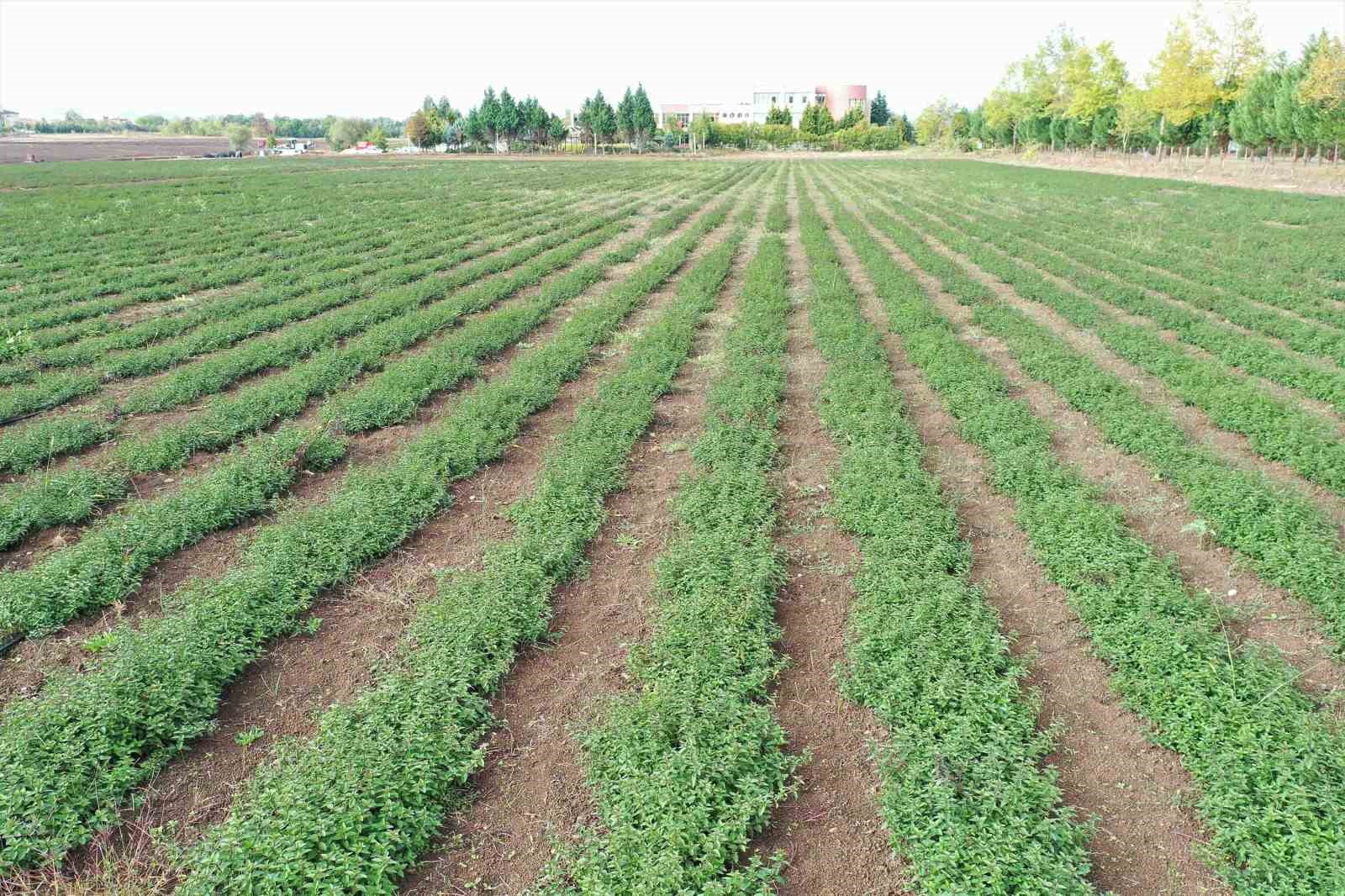 20241129aw339645 0.jpg