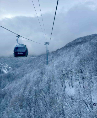 20241129aw339809 0.jpg