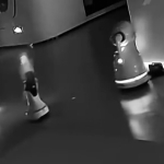 5219.jpg