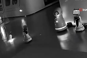 5219.jpg