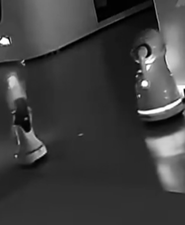 5219.jpg