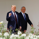 netz.jpg