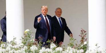 netz.jpg