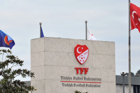 tef 1732646280.jpg
