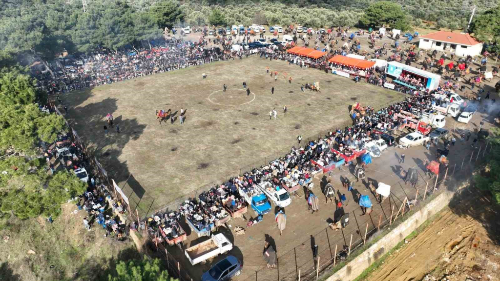 20241205aw344190 0.jpg