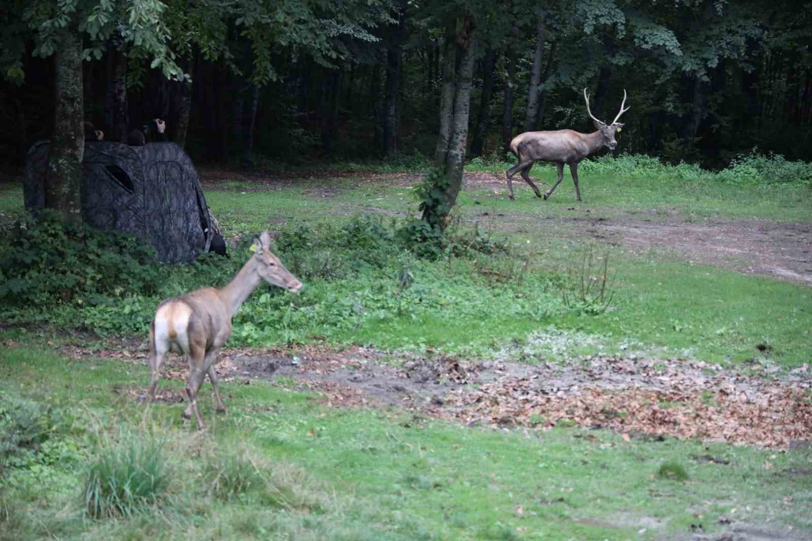 20241207aw345204 0.jpg