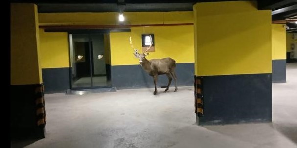 20241207aw345377 0.jpg