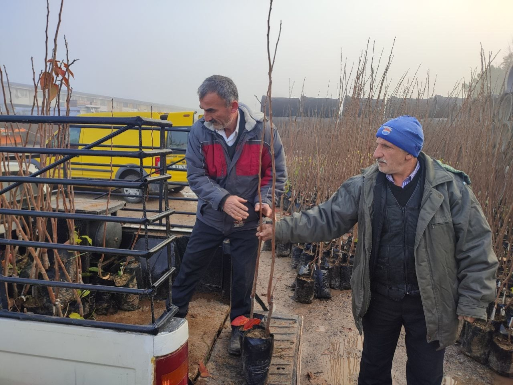 20241210aw347329 0.jpg