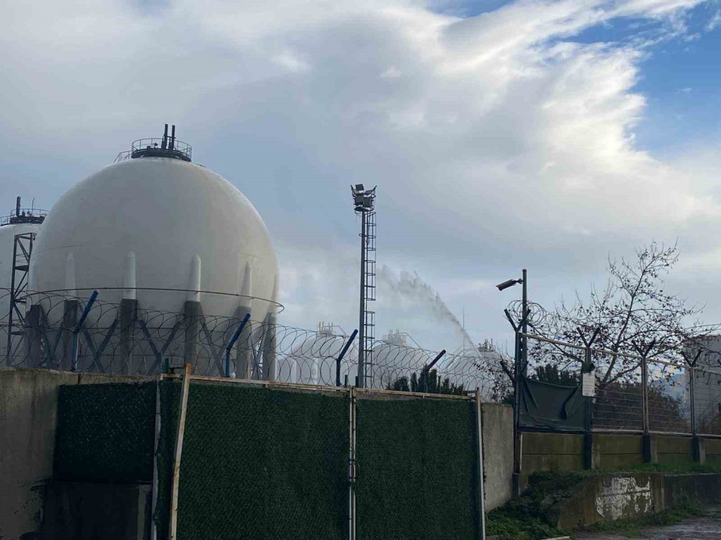 20241210aw347517 0.jpg